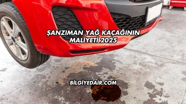 Şanzıman Yağ Kaçağının Maliyeti 2025