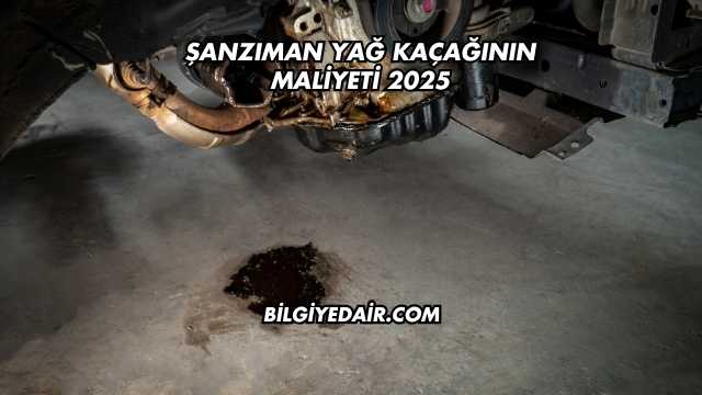 Şanzıman Yağ Kaçağının Maliyeti 2025