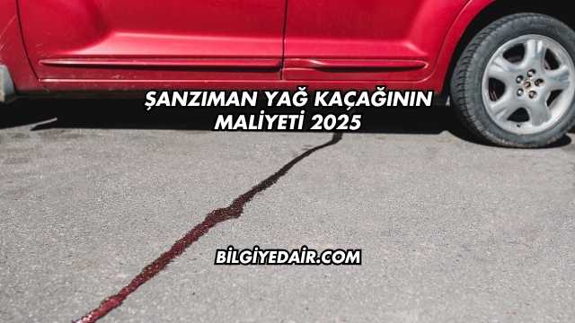 Şanzıman Yağ Kaçağının Maliyeti 2025
