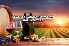 Şarap Fabrikası Kurmanın Maliyeti 2025
