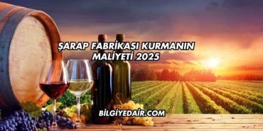 Şarap Fabrikası Kurmanın Maliyeti 2025