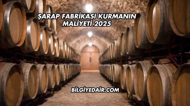 Şarap Fabrikası Kurmanın Maliyeti 2025