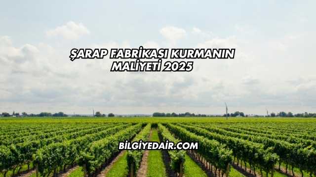 Şarap Fabrikası Kurmanın Maliyeti 2025