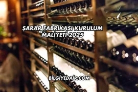Şarap Fabrikası Kurulum Maliyeti 2025