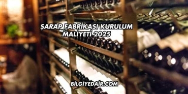 Şarap Fabrikası Kurulum Maliyeti 2025