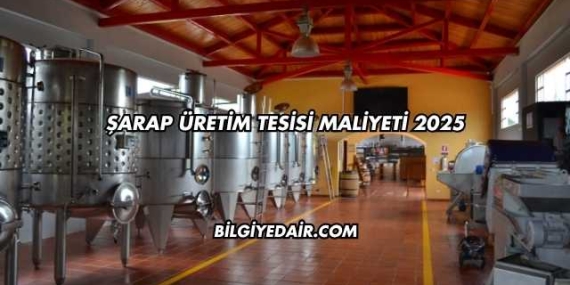 Şarap Üretim Tesisi Maliyeti 2025