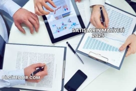 Satışların Maliyeti 2025