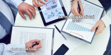 Satışların Maliyeti 2025