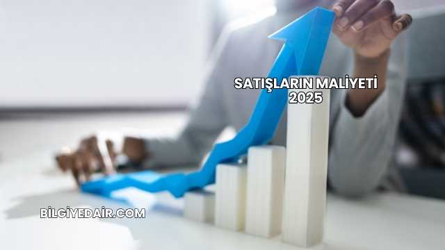 Satışların Maliyeti 2025