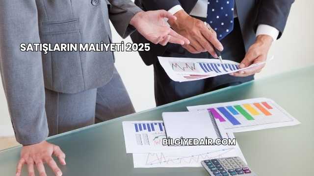 Satışların Maliyeti 2025
