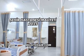 Şehir Hastanesi Maliyeti 2025