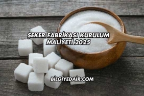 Şeker Fabrikası Kurulum Maliyeti 2025