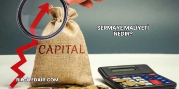 Sermaye Maliyeti Nedir?