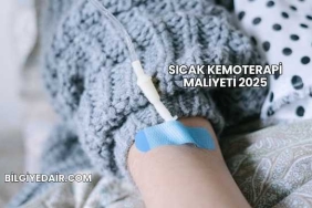 Sıcak Kemoterapi Maliyeti 2025
