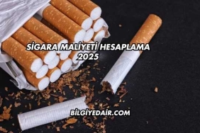 Sigara Maliyeti Hesaplama 2025