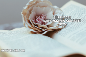 Şiir Kitabı Çıkarmanın Maliyeti 2025