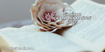 Şiir Kitabı Çıkarmanın Maliyeti 2025