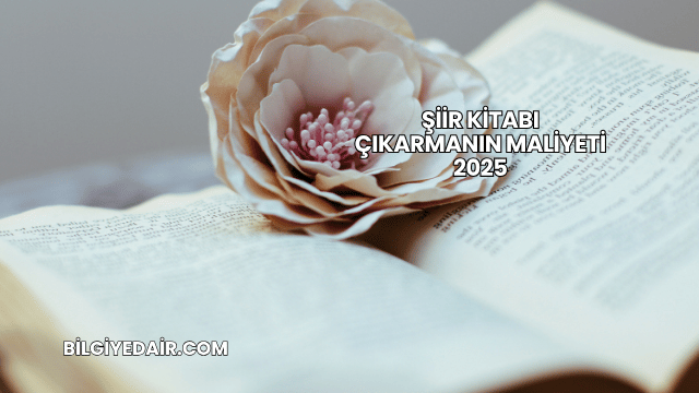Şiir Kitabı Çıkarmanın Maliyeti 2025
