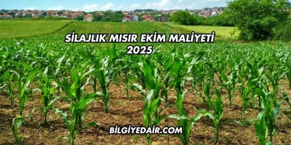 Silajlık Mısır Ekim Maliyeti 2025