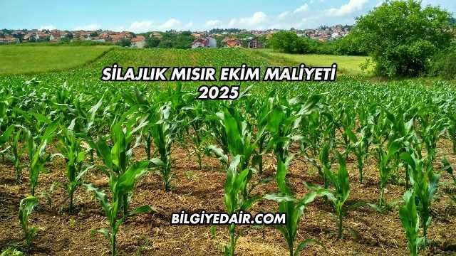 Silajlık Mısır Ekim Maliyeti 2025