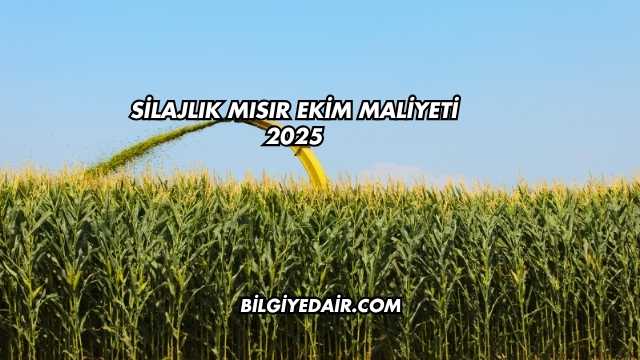 Silajlık Mısır Ekim Maliyeti 2025