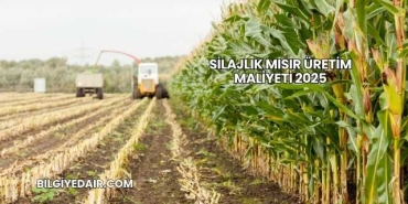 Silajlık Mısır Üretim Maliyeti 2025