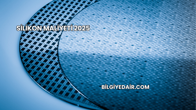 Silikon Maliyeti 2025