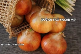 Soğan Yağ Yakar mı?
