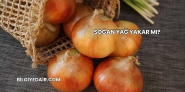 Soğan Yağ Yakar mı?
