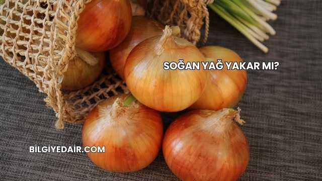 Soğan Yağ Yakar mı?