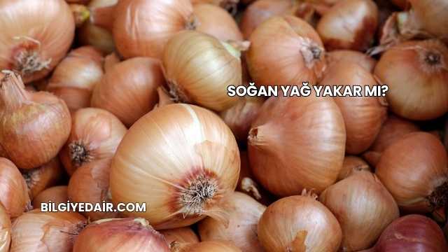 Soğan Yağ Yakar mı?
