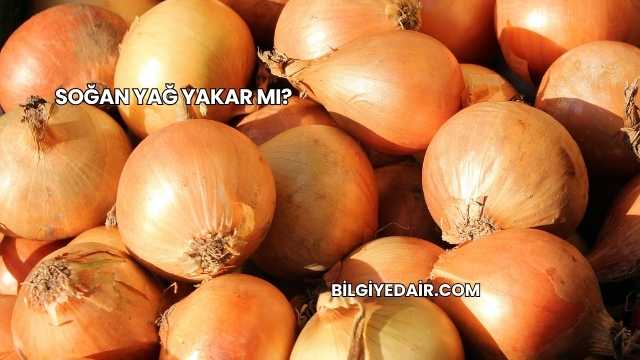 Soğan Yağ Yakar mı?