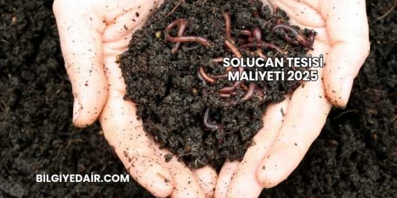 Solucan Tesisi Maliyeti 2025