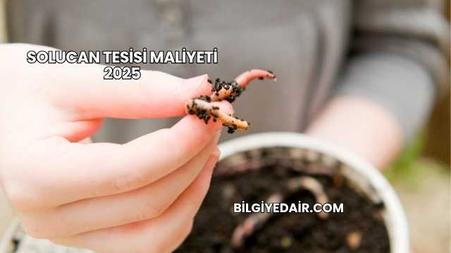 Solucan Tesisi Maliyeti 2025