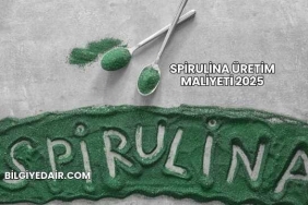 Spirulina Üretim Maliyeti 2025
