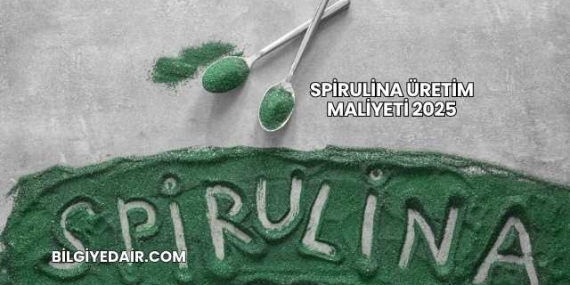 Spirulina Üretim Maliyeti 2025