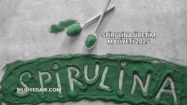 Spirulina Üretim Maliyeti 2025