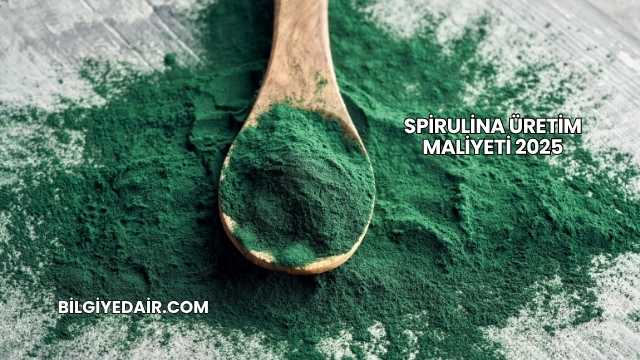 Spirulina Üretim Maliyeti 2025