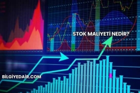 Stok Maliyeti Nedir?