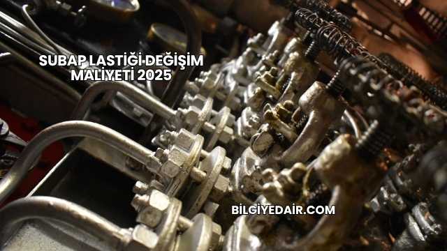 Subap Lastiği Değişim Maliyeti 2025
