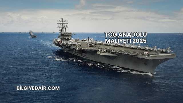 TCG Anadolu Maliyeti 2025