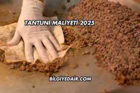 Tantuni Maliyeti 2025