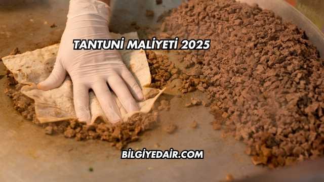 Tantuni Maliyeti 2025