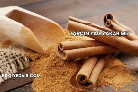Tarçın Yağ Yakar mı?
