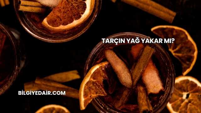 Tarçın Yağ Yakar mı?