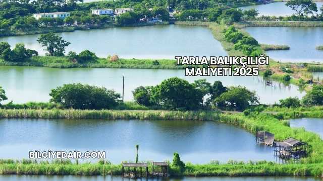 Tarla Balıkçılığı Maliyeti 2025