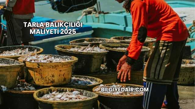 Tarla Balıkçılığı Maliyeti 2025