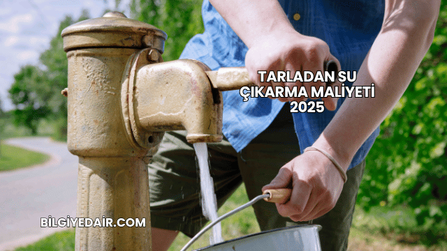Tarladan Su Çıkarma Maliyeti 2025