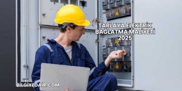Tarlaya Elektrik Bağlatma Maliyeti 2025
