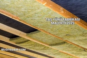Taş Yünü Fabrikası Maliyeti 2025